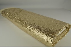 Pailletten 22 champagne