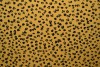 Cotton jersey print - wow 13-47 okergeel