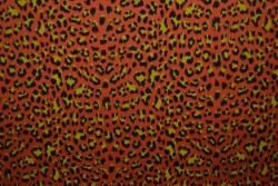 Cotton jersey print - wow 14-42 koper