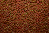 Cotton jersey print - wow 14-42 koper