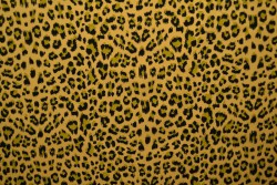 Cotton jersey print - wow 14-47 okergeel