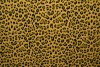 Cotton jersey print - wow 14-47 okergeel