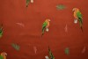 Cotton jersey print - wow 04-42 koper