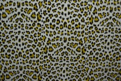 Cotton jersey print - wow 14-25 zilvergrijs