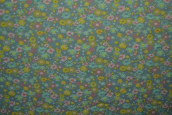 Cotton jersey print - wow 10-34 oud groen