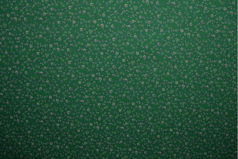 Cotton jersey print - wow 11-32 groen
