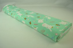 Cotton jersey print - wow 21-01 mint groen