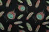 Cotton jersey print - wow 62-03 zwart