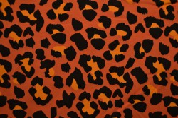 Cotton jersey print - wow 54-42 koper