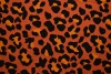 Cotton jersey print - wow 54-42 koper