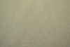 Cotton jersey print - wow 59-22 champagne