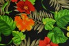 Lycra print 343-01