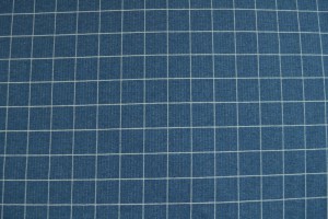 Cotton jersey checks 2cm 01-01 blauw