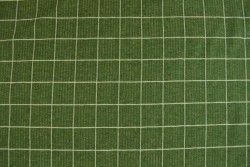 Cotton jersey checks 2cm 01-02 groen