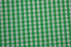 Katoen boerenbont ruiten 6.5 mm 160-10 groen
