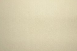 Vilt 1mm 22 champagne