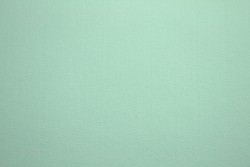 Vilt 1mm 41 licht mint