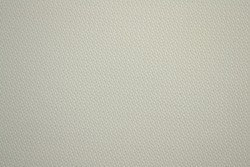 Mesh 12-01
