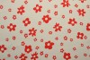 Cotton print 36-5