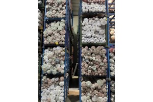 Partij Indonesische polyester 100.000 MTR