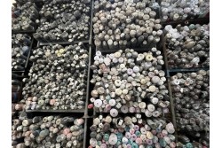 Partij Indonesische polyester 100.000 MTR