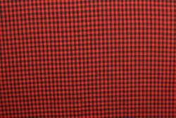 Cotton vichy checks 02-01