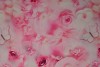 Cotton poplin print digital 74-1