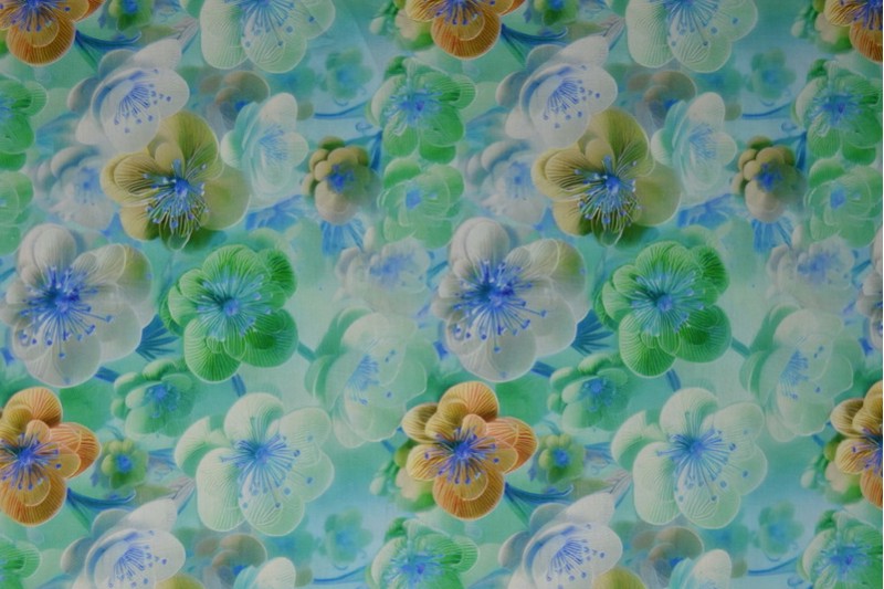 Cotton poplin print digital 76-2