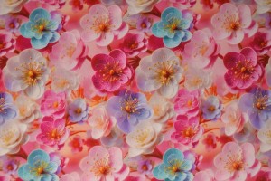 Cotton poplin print digital 76-3