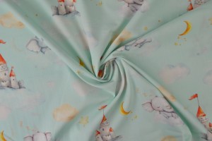 Cotton poplin print digital 79-3