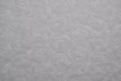 Mesh roses special 05-00 white