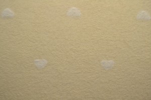 teddy towelling embroidered 03-22