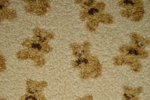 teddy fur print 01-3 teddy