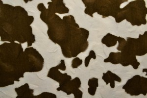 faux fur print 01-08