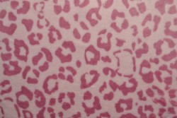 Coral fleece print 191-02