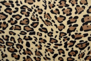 Coral fleece print 195-05
