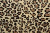 Coral fleece print 195-05