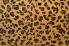 Coral fleece print 195-06