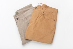 Corduroy