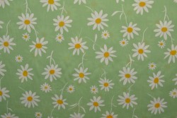 Viscose print 2147-04