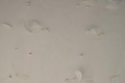 Mesh feather and pearls 09-22 champagne