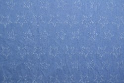 Denim fashion 03-01 stars