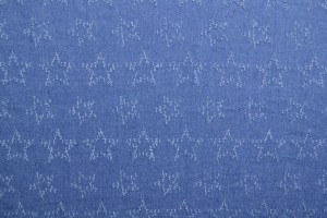 Denim fashion 03-02 stars