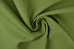 Canvas 31 mosgroen