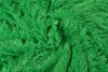Pluche 11 groen