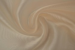 Organza 22 - champagne