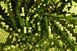 Paillet XL 12 limegroen