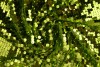 Paillet XL 12 limegroen