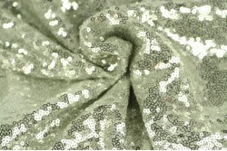 Pailletten 04 zilver